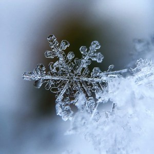 snowflake.jpg