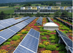Greenspace16
